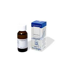 ZENZERO 100ML TM